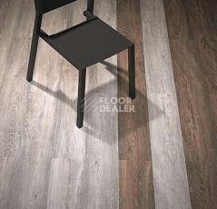 Forbo Allura Click Pro 60151CL5 white raw timber фото 3 | FLOORDEALER